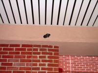 bullet camera